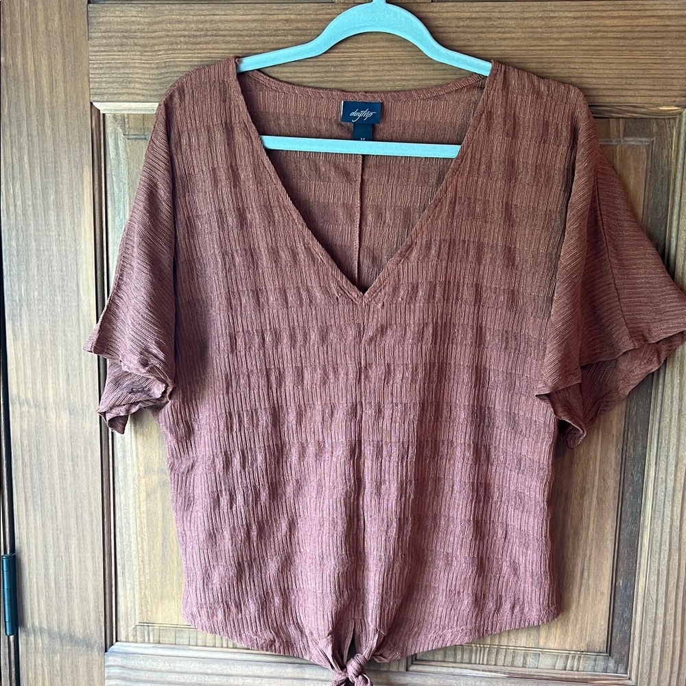 Daytrip Women's Brown V-Neck Blouse